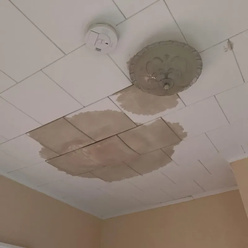 Ceiling Water Damage Repair in Warsaw, VA