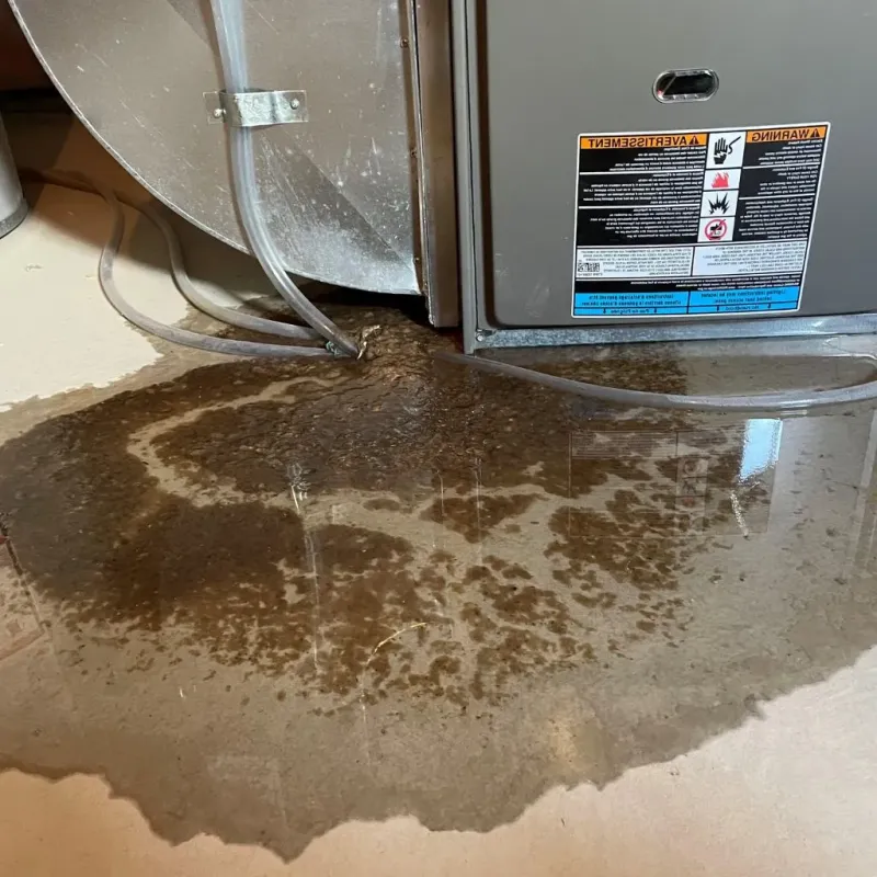 Pipe Burst and Leak Restoration in Warsaw, VA